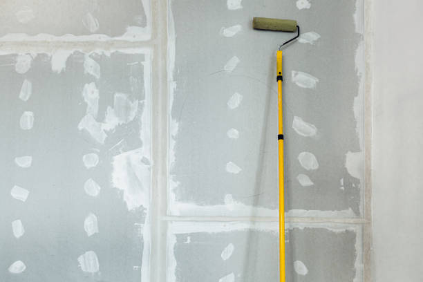 Best Mold-Related Health Consultation  in Newark, IL