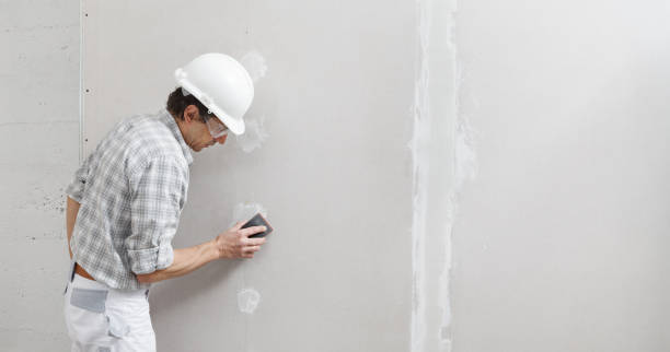  Newark, IL Mold Removal Pros