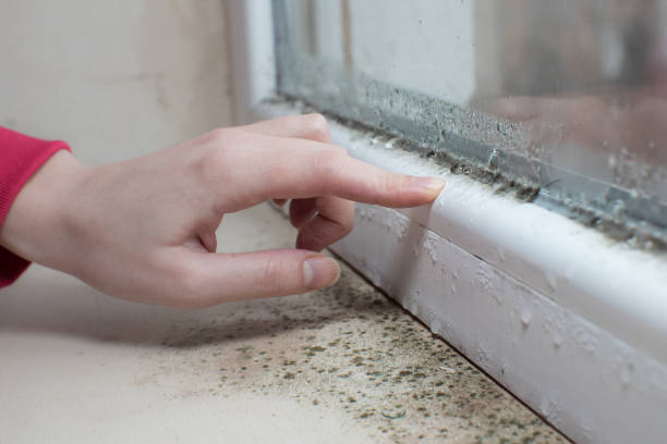 Best Post-Remediation Verification Testing  in Newark, IL