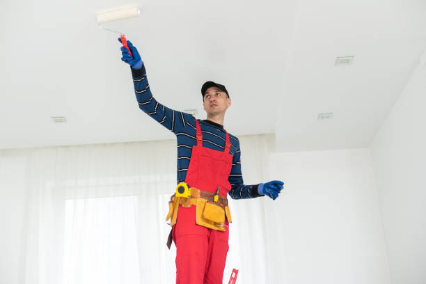Best Attic Mold Removal  in Newark, IL