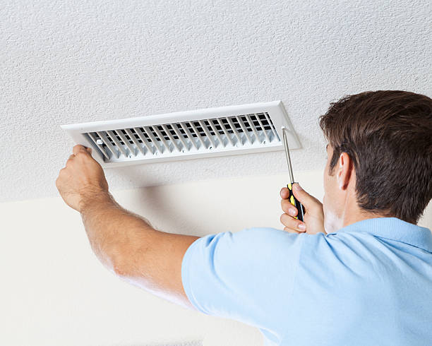 Best Mold Odor Removal Services  in Newark, IL
