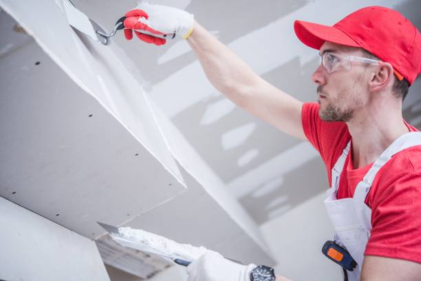 Best Mold Odor Removal Services  in Newark, IL